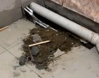 碧江卫生间漏水检测哪家好