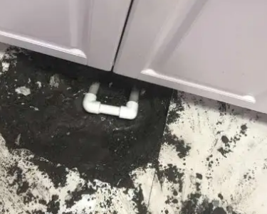 碧江查漏水哪家好