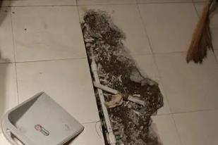 碧江卫生间漏水检测电话
